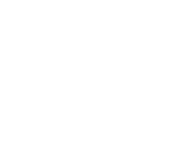 description of image